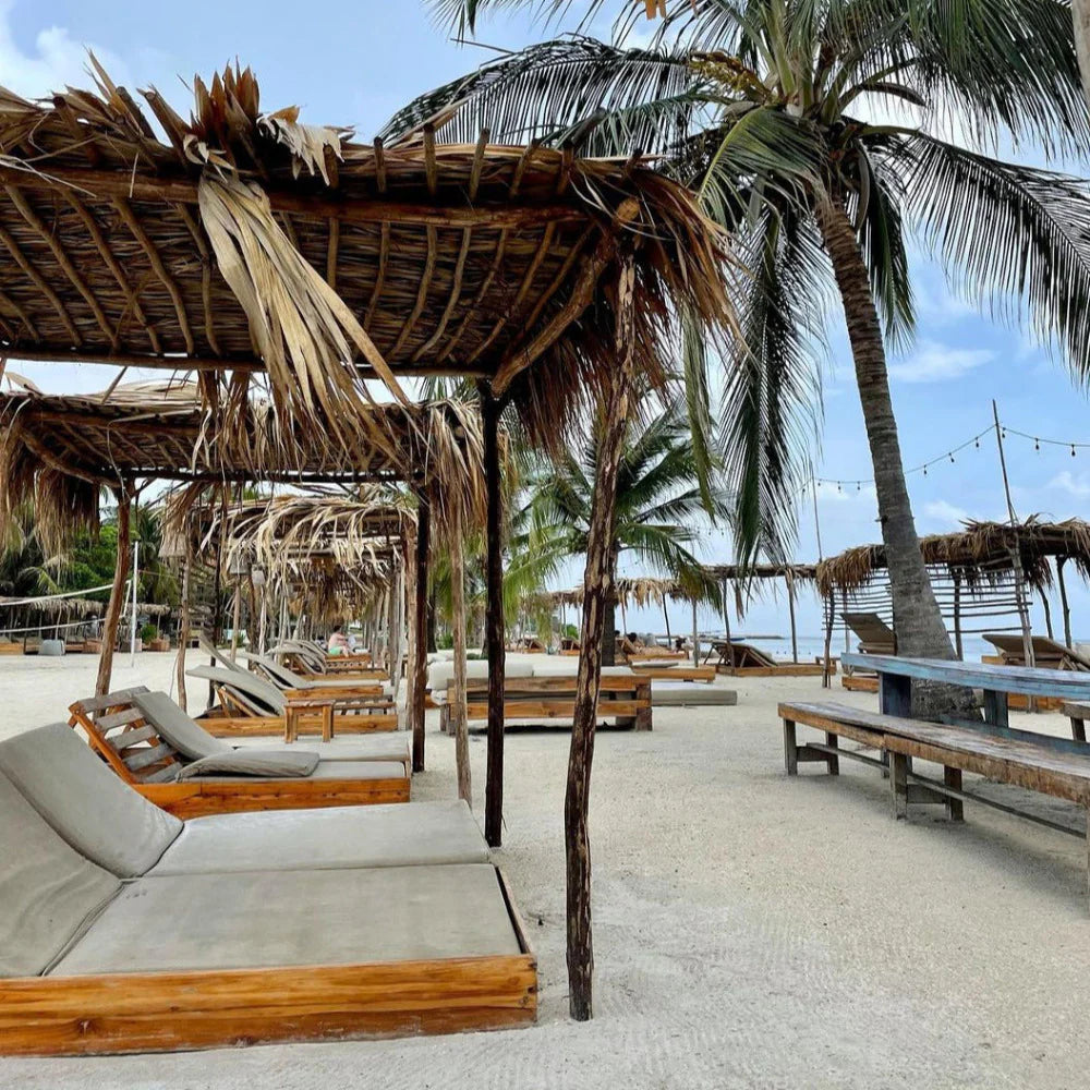 FÉNIX BEACH – TIERRA BOMBA