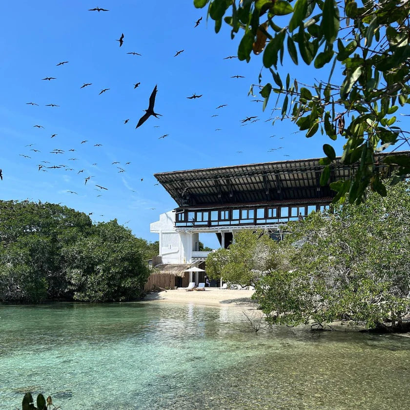 Top 3 Rosario Islands – Premium Island Hopping Tour