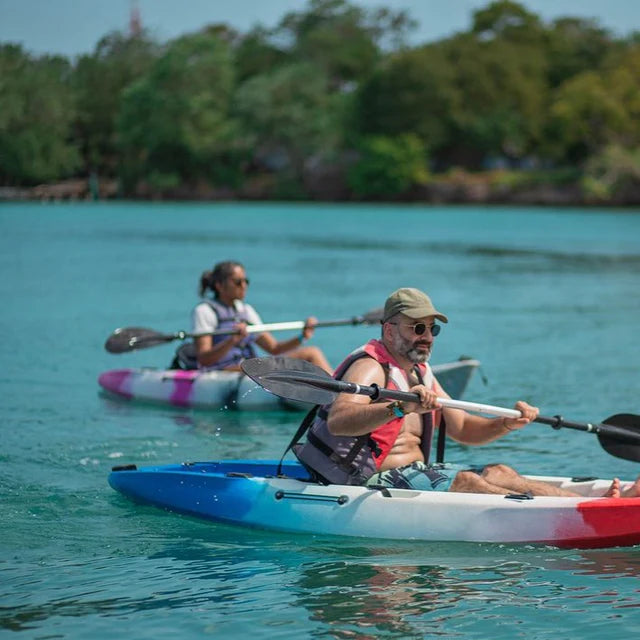 Top 3 Rosario Islands – Premium Island Hopping Tour