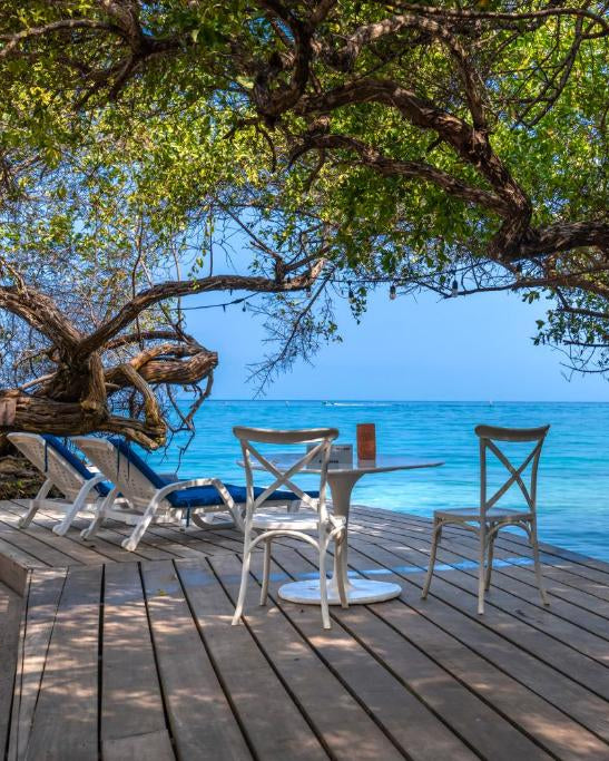 Wooden deck by the ocean with chairs and a table under a large tree.