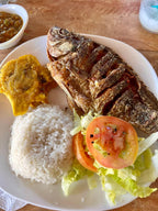 Palenque Tour from Cartagena: San Basilio Culture & Traditional Lunch