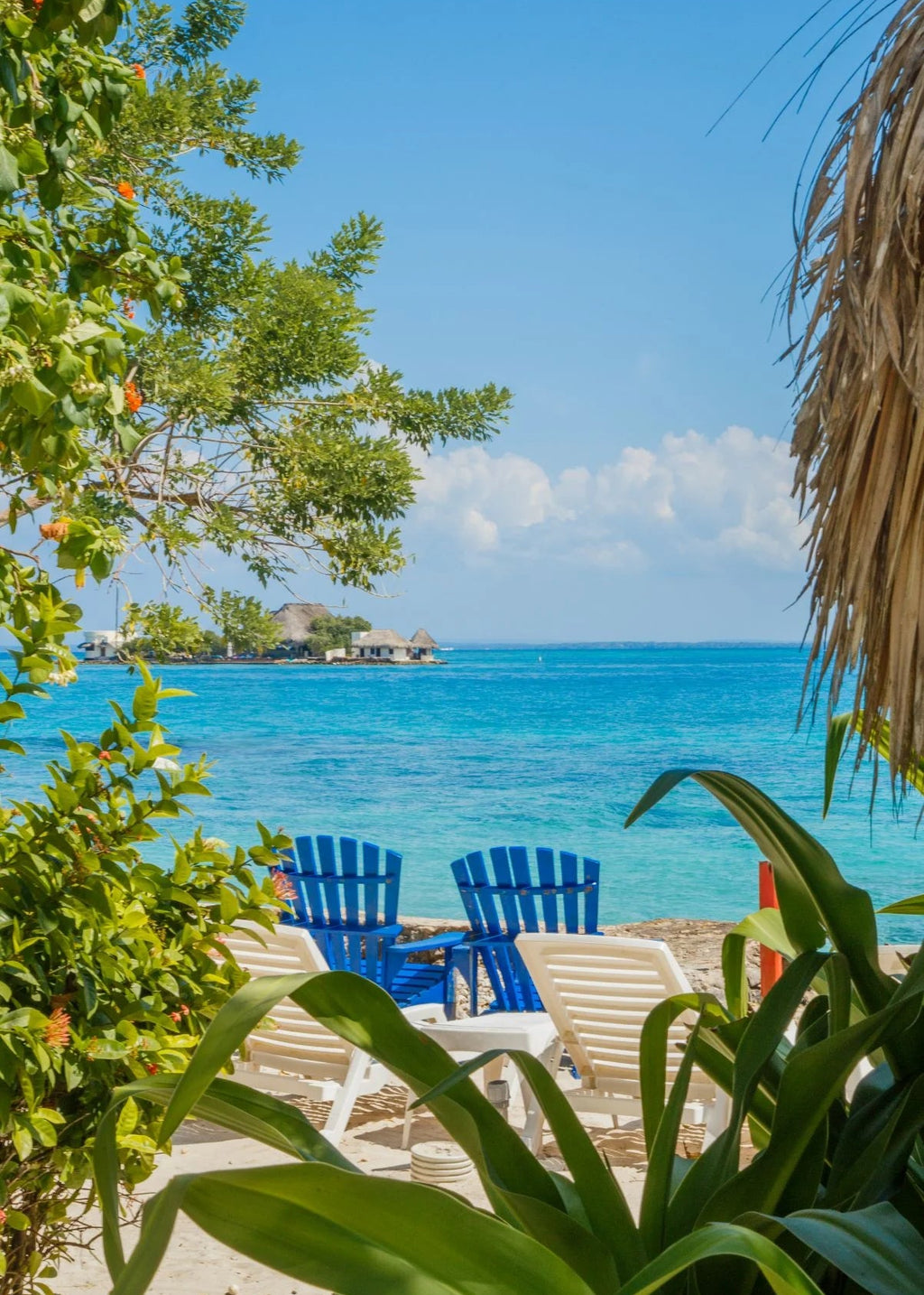 Beach scene with blue chairs, greenery, and clear blue water.