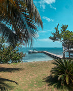 Top 2 Rosario Islands Tour – Two Beach Clubs in One Day