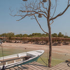 Fénix Beach – Exclusive Beach Club, Tierra Bomba Cartagena