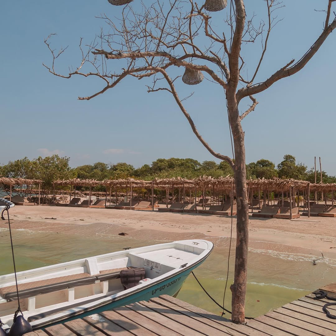 FÉNIX BEACH – TIERRA BOMBA