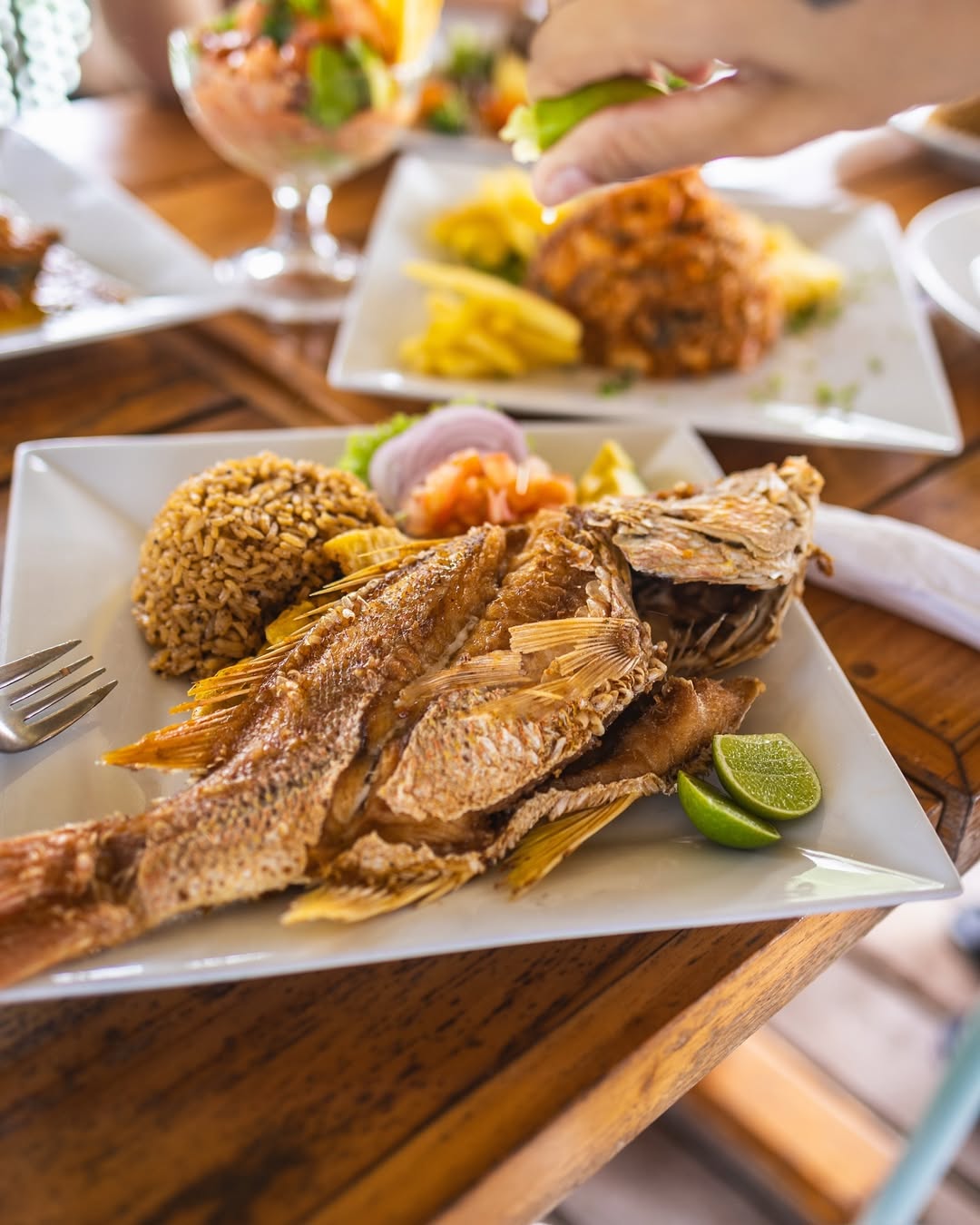 Isla del Sol – Rosario Islands Day Pass (Family-Friendly)