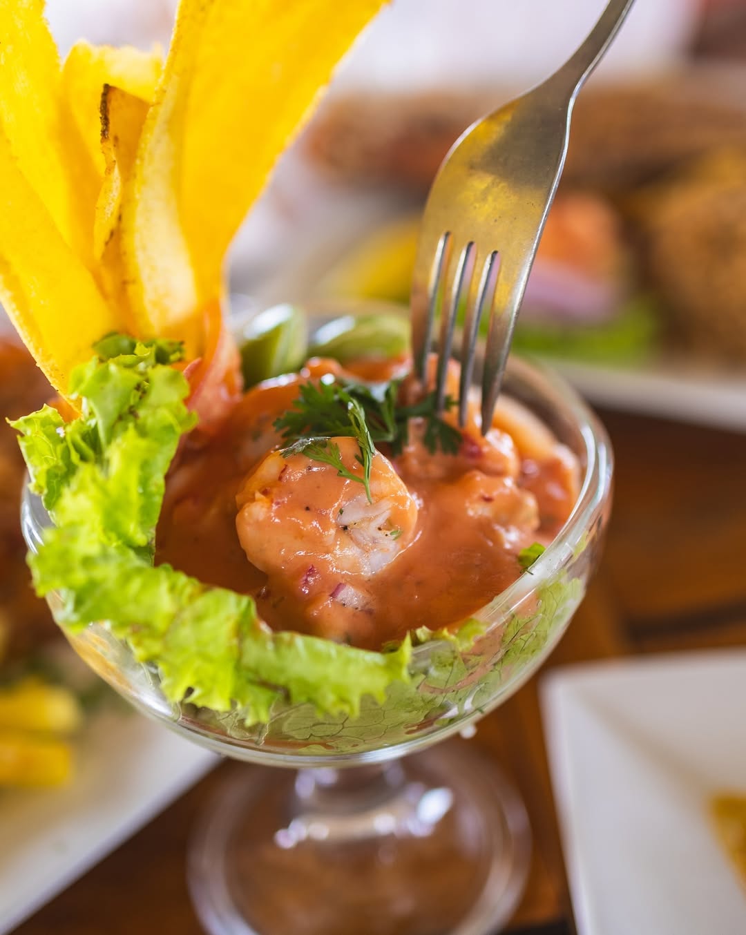 Isla del Sol – Rosario Islands Day Pass (Family-Friendly)