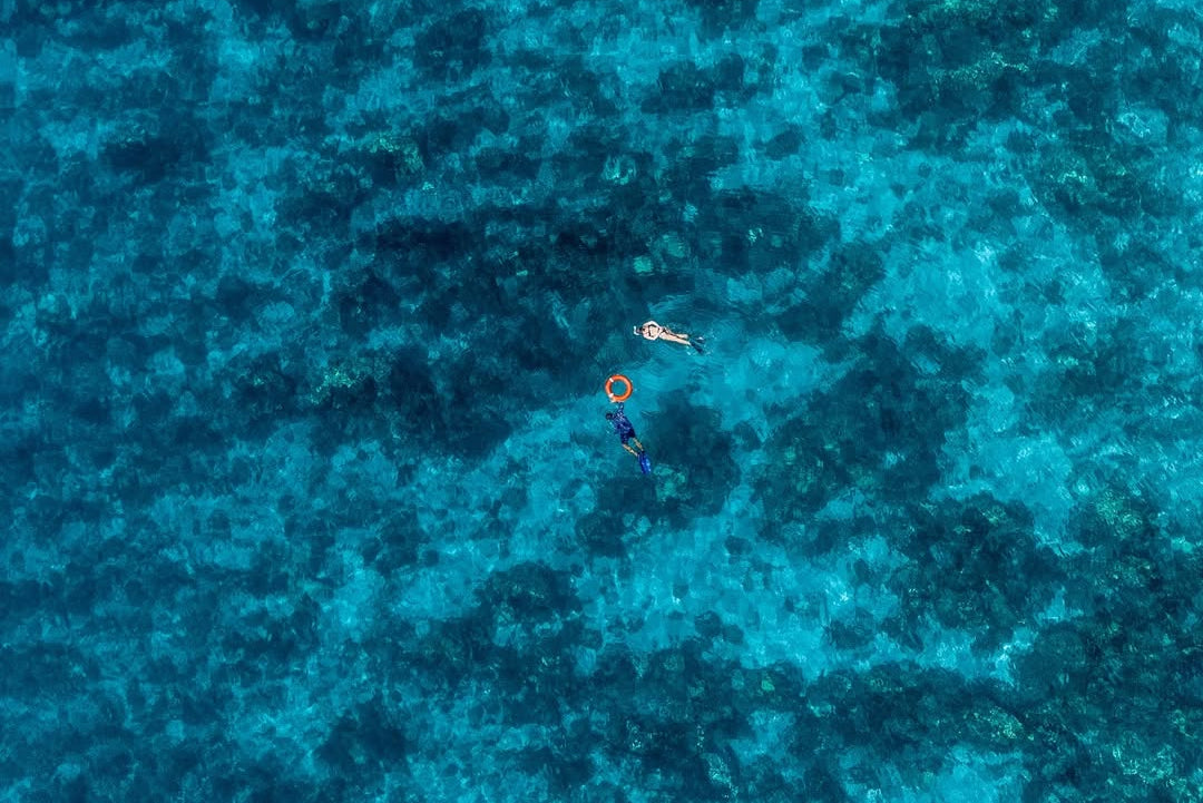Two people swimming in a pool with blue water.