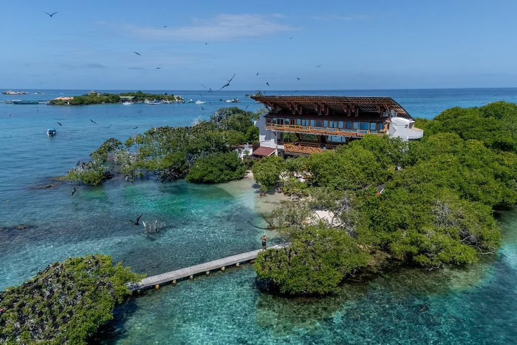 Island with a building surrounded by lush greenery and clear blue water