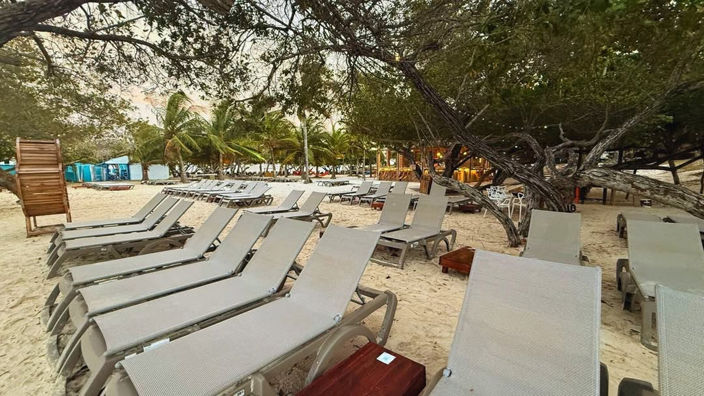 Rosario del Mar – Rosario Islands Day Pass