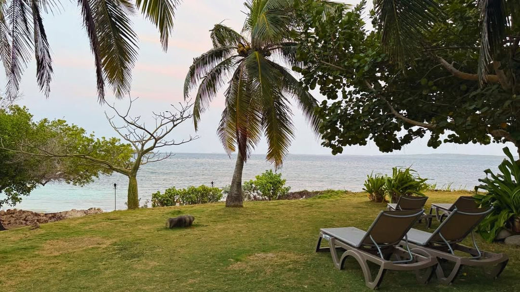 Rosario del Mar – Rosario Islands Day Pass