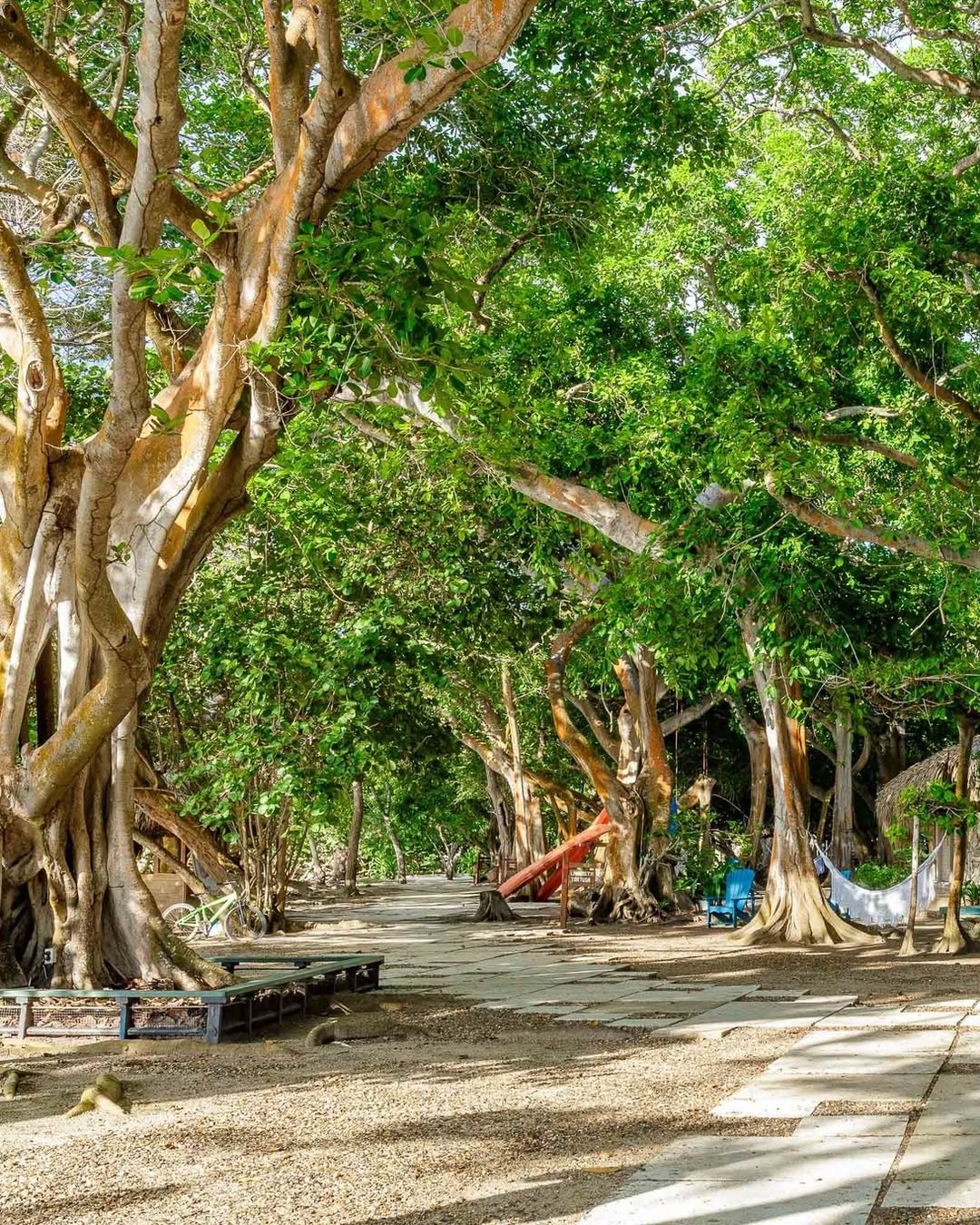 Isla San Pedro de Majagua – Rosario Islands Day Pass