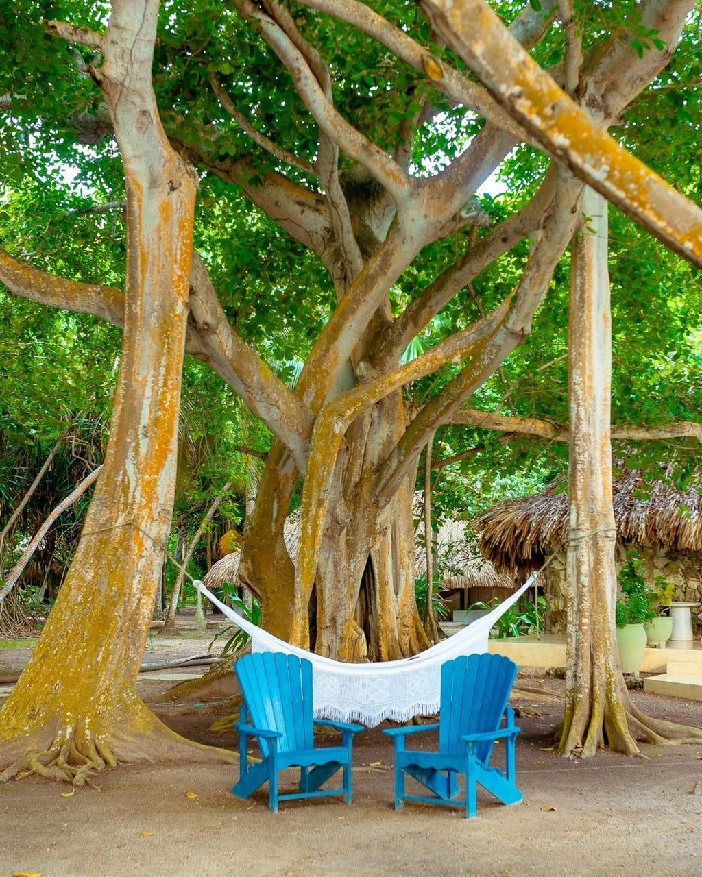 Isla San Pedro de Majagua – Rosario Islands Day Pass