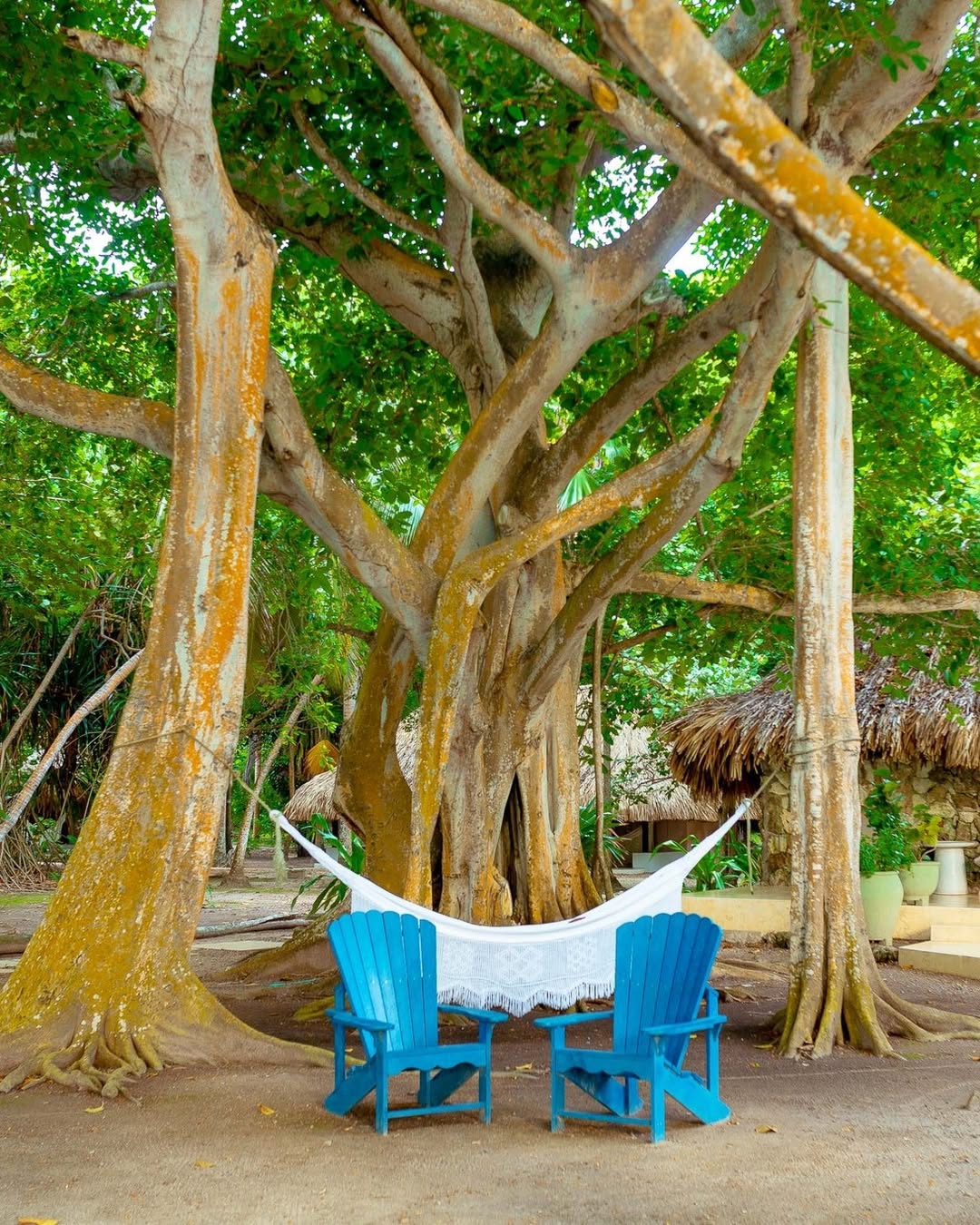 Isla San Pedro de Majagua – Rosario Islands Day Pass