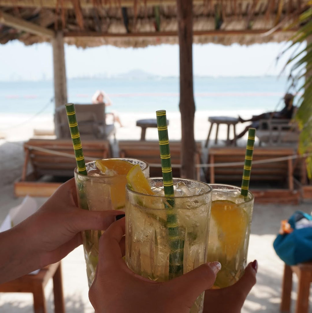 FÉNIX BEACH – TIERRA BOMBA