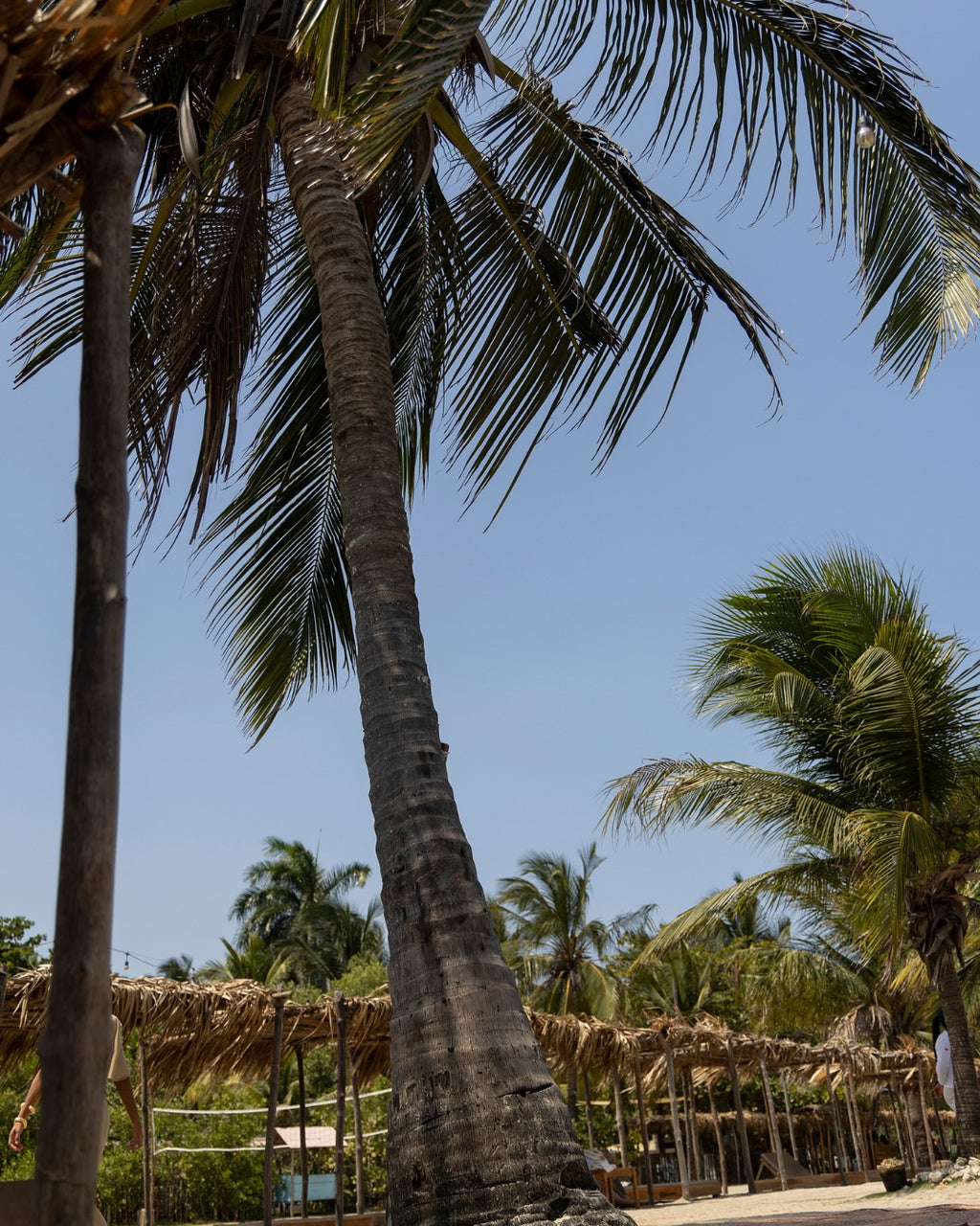 FÉNIX BEACH – TIERRA BOMBA