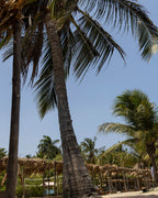 Fénix Beach – Exclusive Beach Club, Tierra Bomba Cartagena