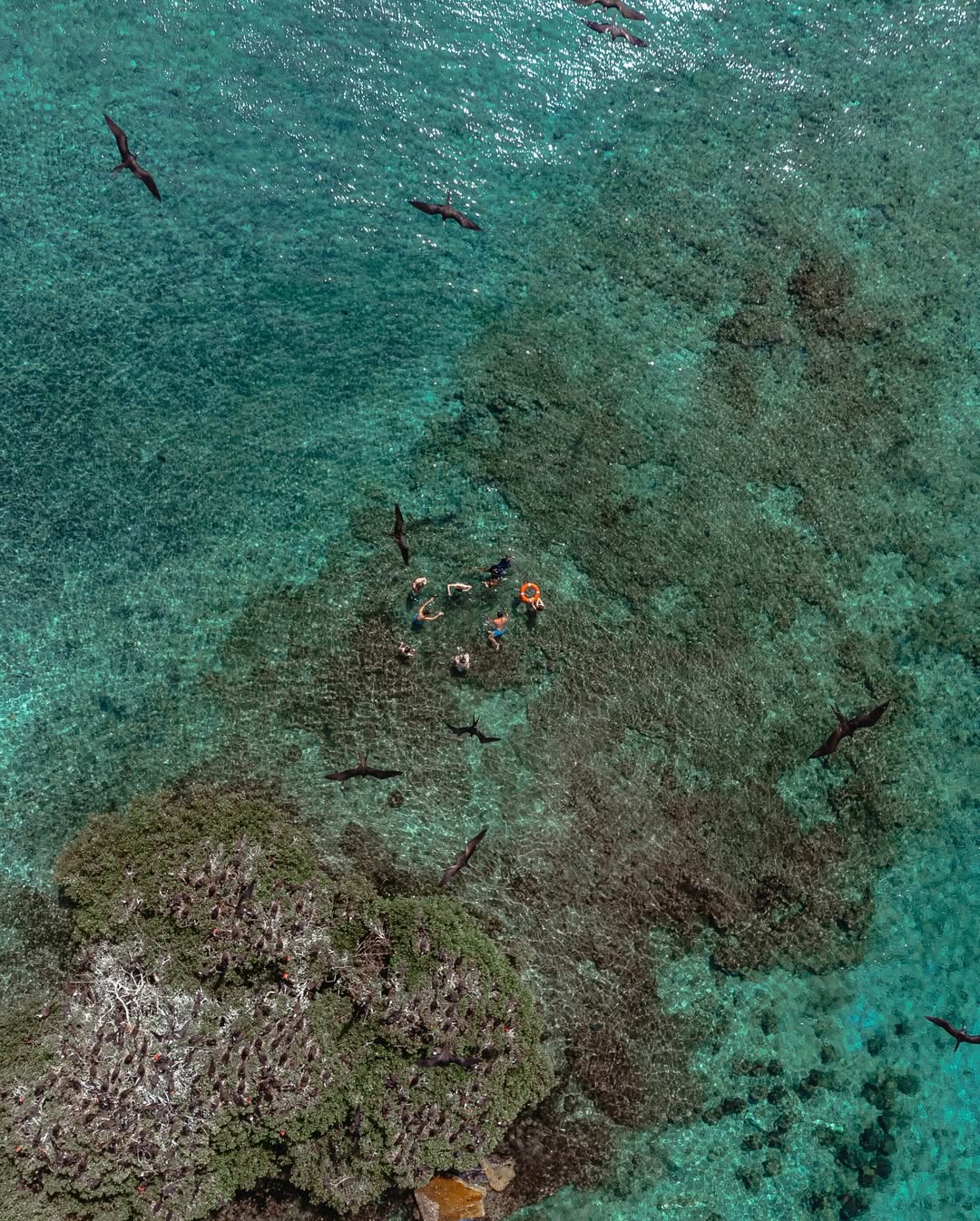 Pao Pao Beach Club: Exclusive Rosario Islands Day Trip from Cartagena (12+)