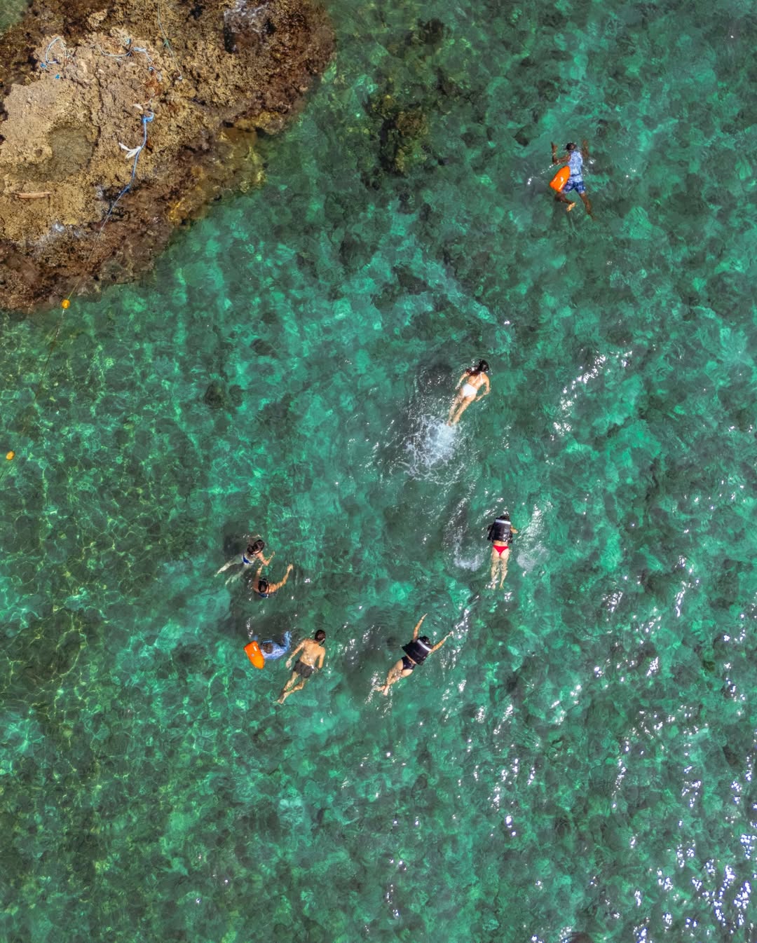 A group of people swimming in clear turquoise water near a rocky shore.