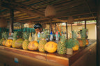 Sunset Beach Club Playa Tranquila Barú Day Pass from Cartagena