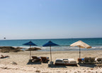 Blue Apple Beach Day Pass Cartagena | Tierra Bomba Beach Club - Cartagena Day Tours