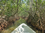 Mangrove Fishing Tour in Cartagena: Canoe Ride & Local Culture