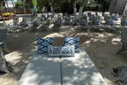 Dharma Beach Club Cartagena Day Pass - Cartagena Day Tours