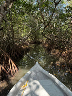 Mangrove Fishing Tour in Cartagena: Canoe Ride & Local Culture