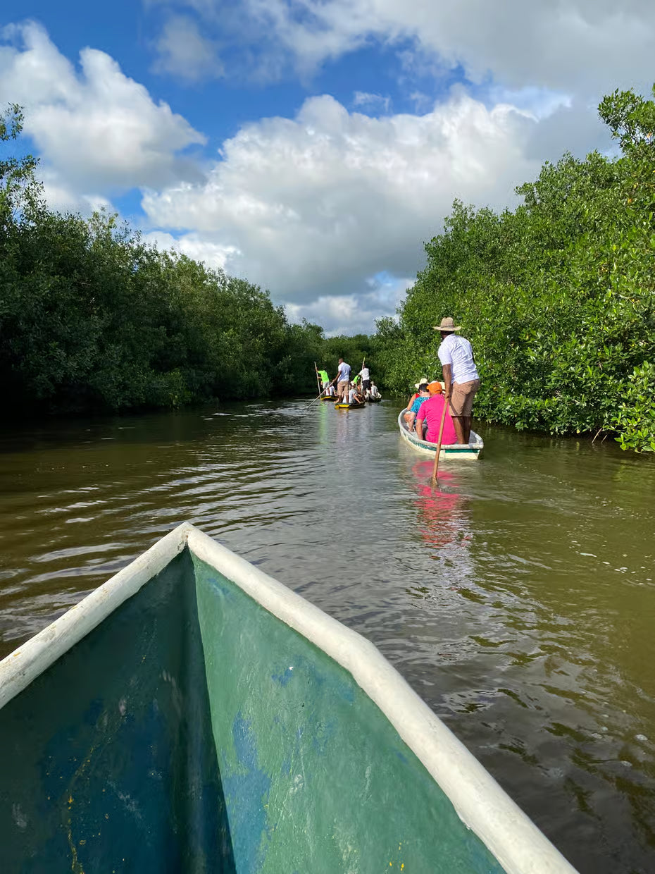 Mangrove Fishing Tour in Cartagena: Canoe Ride & Local Culture