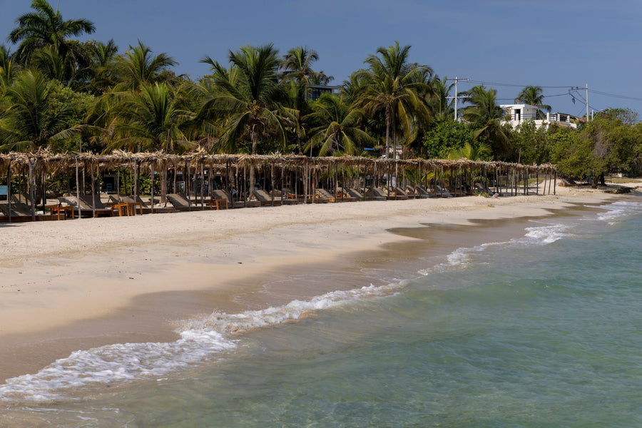 Fénix Beach – Exclusive Beach Club, Tierra Bomba Cartagena - Cartagena Day Tours