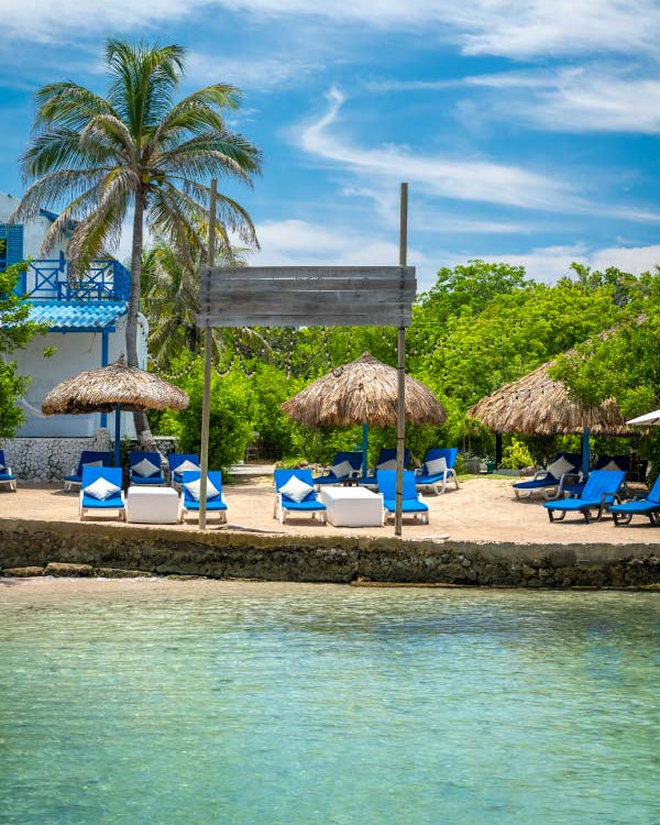 Beach scene with palm trees, lounge chairs, and umbrellas near a body of water.