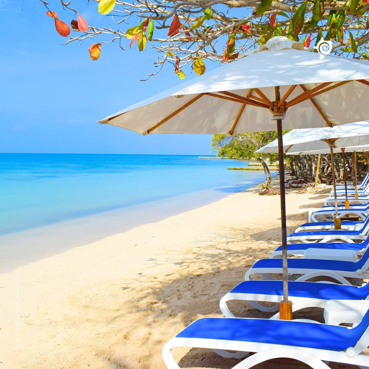 Isla del Encanto – Rosario Islands Day Pass - Cartagena Day Tours