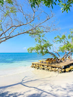 Isla Palma Day Trip from Cartagena |White Sand & Clear Caribbean Waters - Cartagena Day Tours