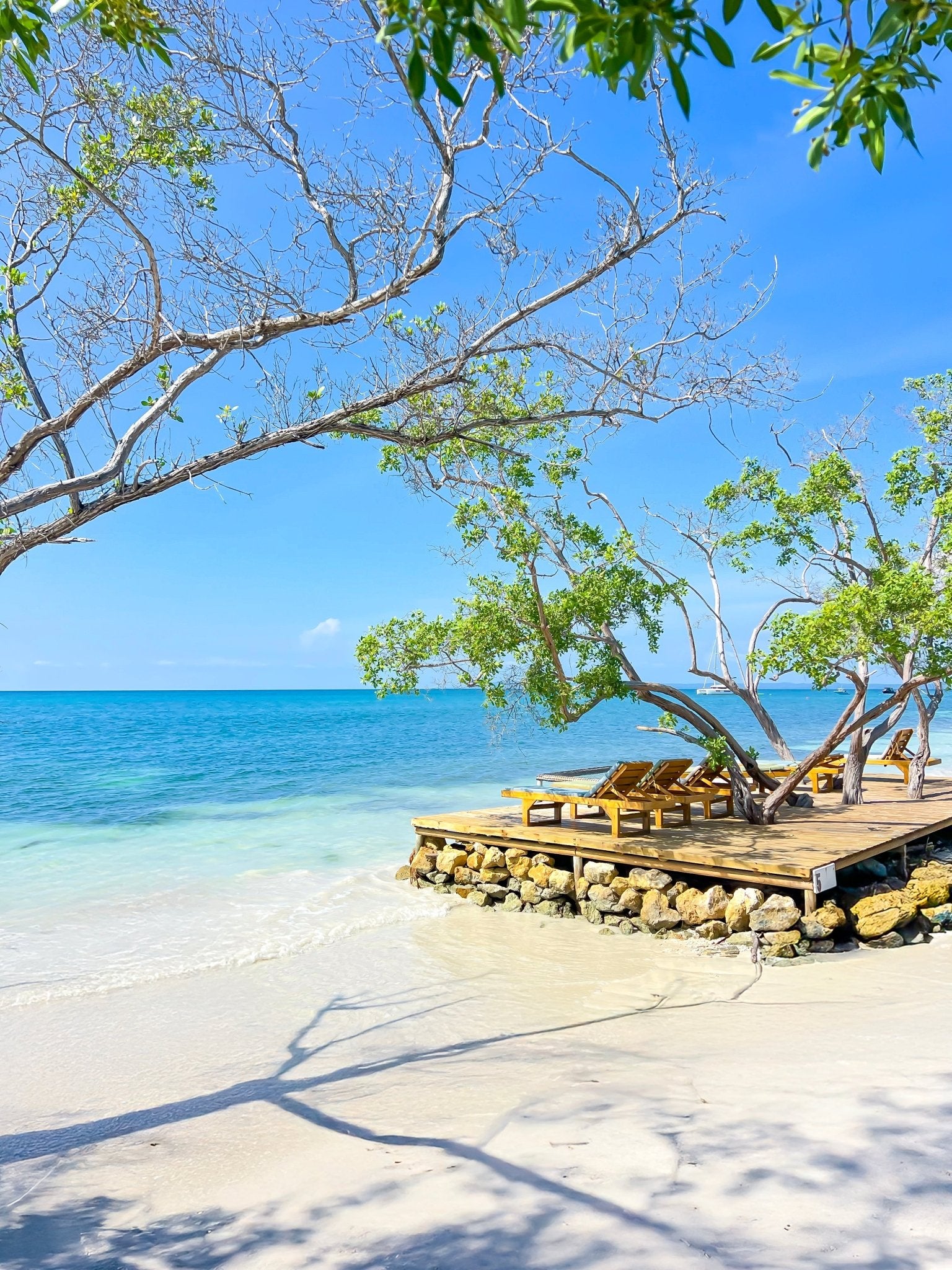 Isla Palma Day Trip from Cartagena |White Sand & Clear Caribbean Waters - Cartagena Day Tours