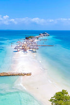 Isla Palma Day Trip from Cartagena |White Sand & Clear Caribbean Waters - Cartagena Day Tours