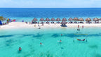 Isla Palma Day Trip from Cartagena |White Sand & Clear Caribbean Waters - Cartagena Day Tours