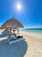 Isla Palma Day Trip from Cartagena |White Sand & Clear Caribbean Waters - Cartagena Day Tours