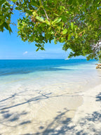 Isla Palma Day Trip from Cartagena |White Sand & Clear Caribbean Waters - Cartagena Day Tours