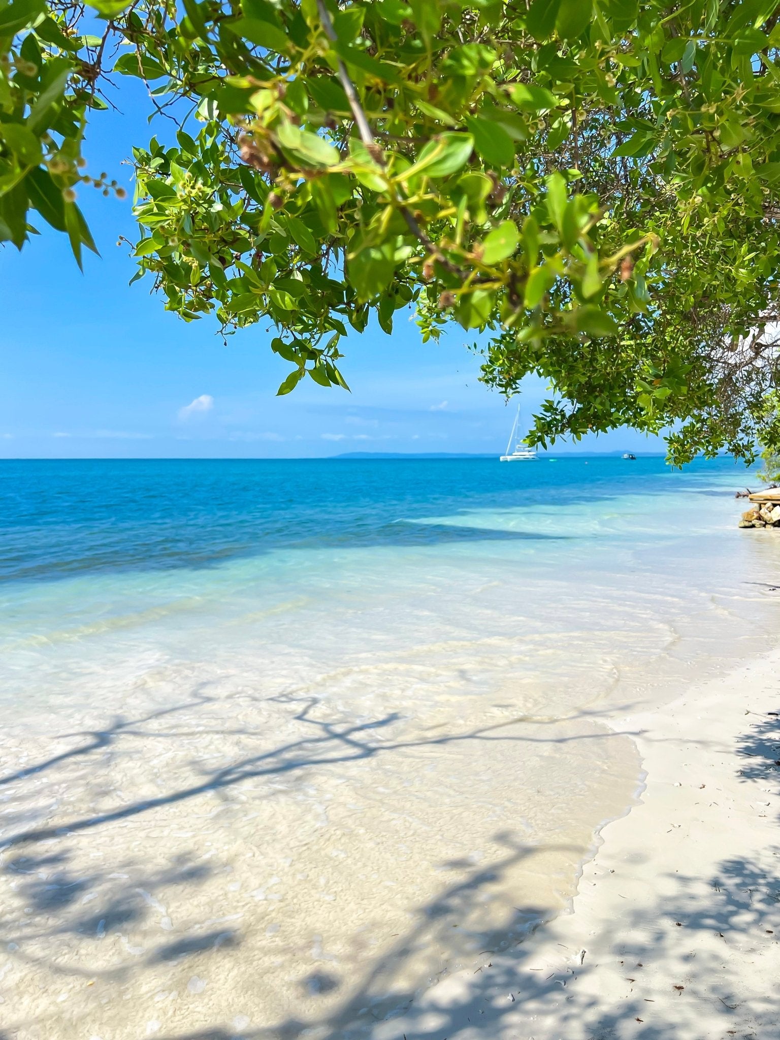 Isla Palma Day Trip from Cartagena |White Sand & Clear Caribbean Waters - Cartagena Day Tours