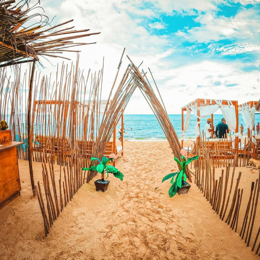 Mambo Beach Club Barú · Playa Blanca Day Pass - Cartagena Day Tours