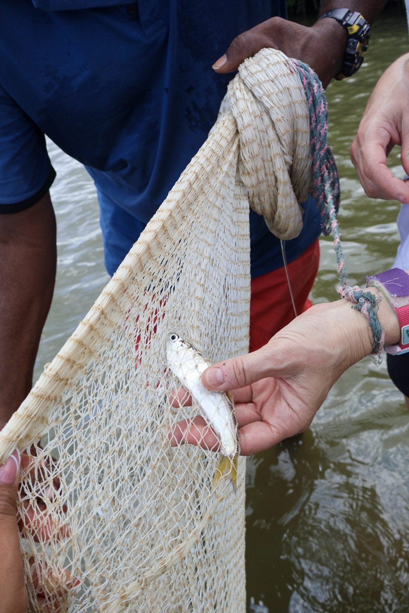 Mangrove Fishing Tour in Cartagena: Canoe Ride & Local Culture - Cartagena Day Tours