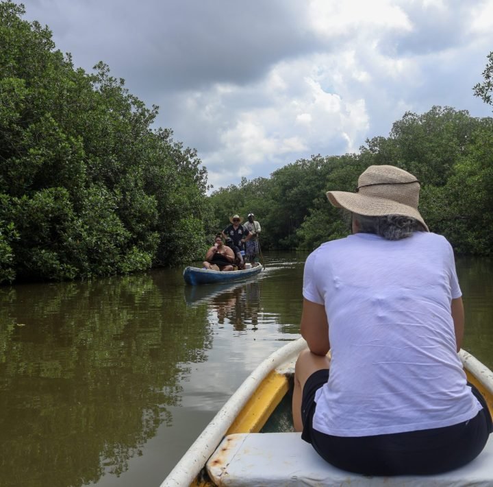 Mangrove Fishing Tour in Cartagena: Canoe Ride & Local Culture - Cartagena Day Tours