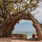 Namaste Holistic Beach Club – Wellness Day Pass, Tierra Bomba - Cartagena Day Tours