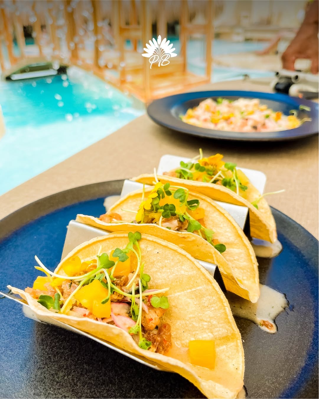 Palmarito Beach Club – Private Day Pass, Tierra Bomba Cartagena - Cartagena Day Tours