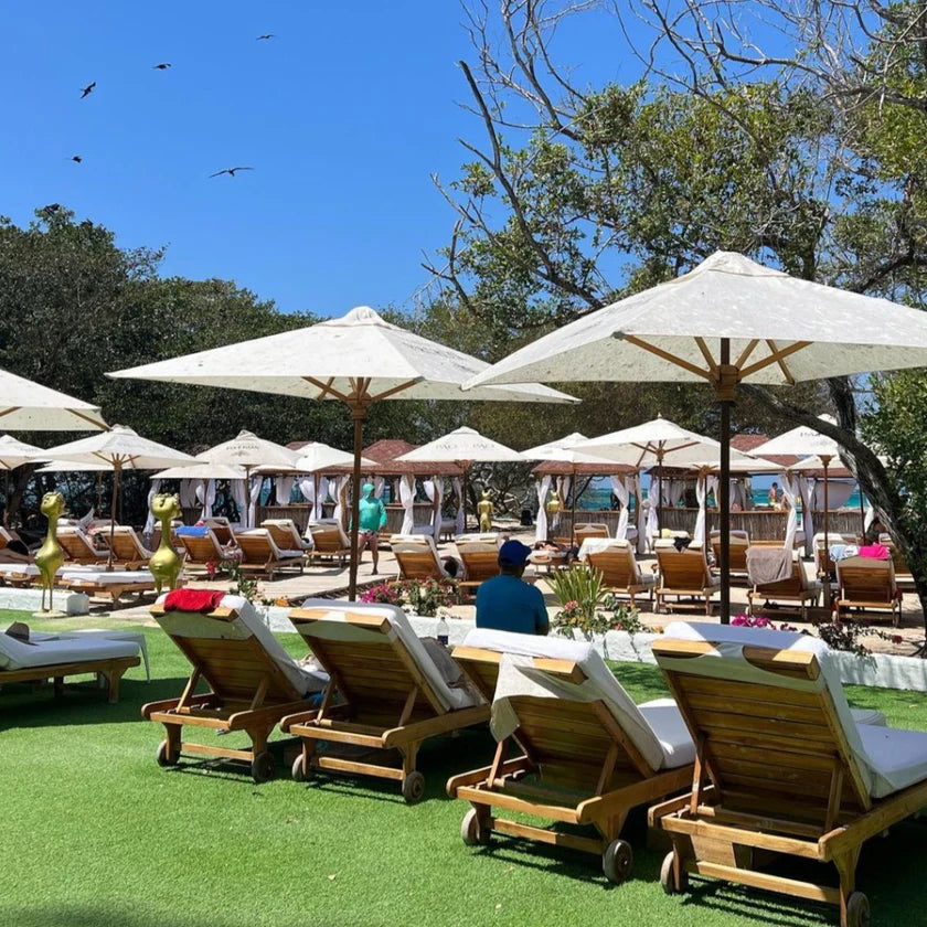 Top 3 Rosario Islands – Premium Island Hopping Tour