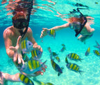 Rosario Islands Snorkeling & Oceanarium Tour from Cartagena - Cartagena Day Tours