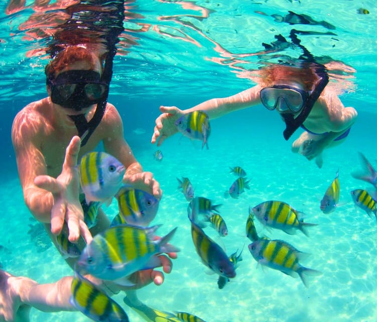 Rosario Islands Snorkeling & Oceanarium Tour from Cartagena - Cartagena Day Tours