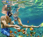 Rosario Islands Snorkeling & Oceanarium Tour from Cartagena - Cartagena Day Tours