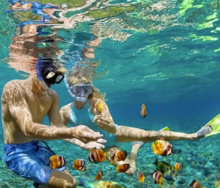 Rosario Islands Snorkeling & Oceanarium Tour from Cartagena - Cartagena Day Tours