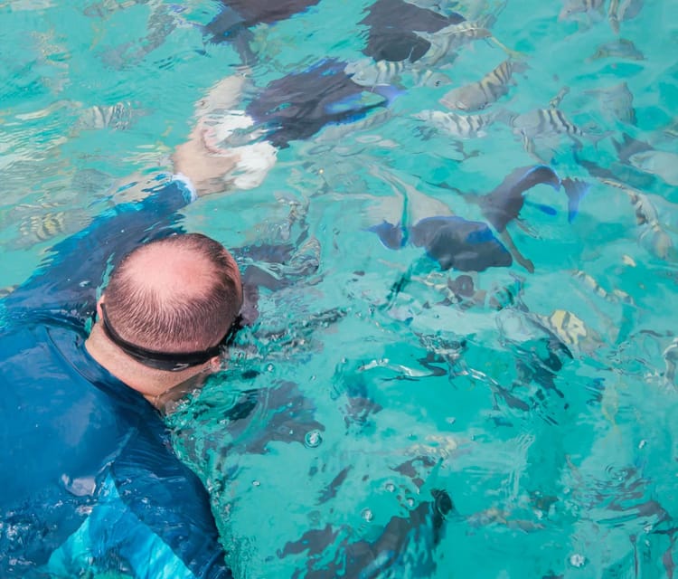 Rosario Islands Snorkeling & Oceanarium Tour from Cartagena - Cartagena Day Tours